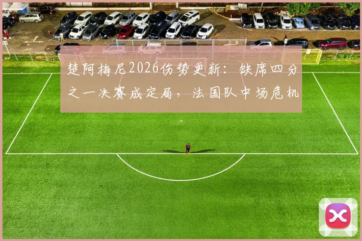 楚阿梅尼2026伤势更新:缺席四分之一决赛成定局,法国队中场危机浮现,谁将临危受命?